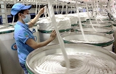 Vietnam maintains spot as world's sixth largest fibre exporter