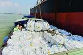 Considering long-term strategies for rice exports