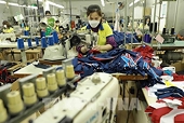 Breakthrough policies look towards green economy