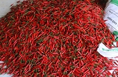 Rok, Taiwan increase inspection on imported chili