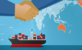 Statistics on safeguard case against imports conducted by Vietnam up to 31 Dec 2022