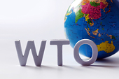 Statistics of Safeguard Measures on commodity groups in the world up to 31 December 2023