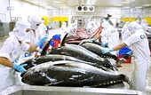 Vietnamese tuna products exported to 80 markets worldwide