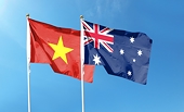 Vietnam, Australia strengthen fight against customs violations