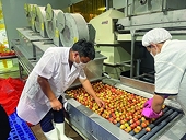 The fruit and vegetable industry has plenty of room for export in the five largest markets