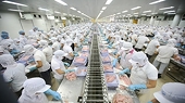 Export product bounce back results in needs to remove raw material bottlenecks