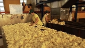 Ample room remains for Vietnamese rubber exports to US