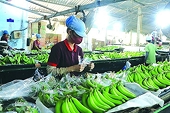 Trade surplus was more than US$8 billion in the first five months of the year