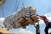 Vietnam eyes golden opportunities for rice exportsVietnam eyes golden opportunities for rice exports