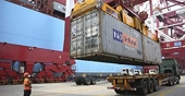 Expand export opportunities to the US