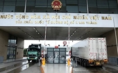 Talks held to drive Vietnam-China agro-forestry-fishery trade