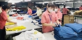 Vietnamese exports recover in 2024, still face challenges