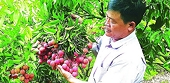 Priority is given to exporting seasonal agricultural products