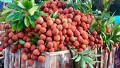 Exporting fruit to the United States still faces many challenges
