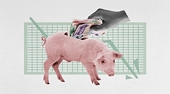 China's pork battle with the EU
