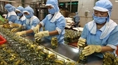 Exports up 13.8% in first half: ministry