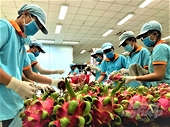 Sanguine economic growth prospects ahead due to export recovery