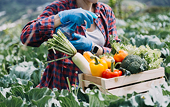 Yearly agricultural export target achievable: official