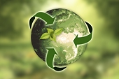 Solutions to establish a green ecosystem in the logistics industry