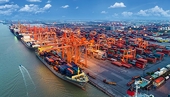 Vietnamese enterprises suffering disadvantages of exporting to other countries