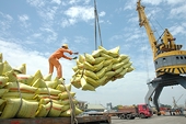 Vietnam sees strong rice exports driven by rising prices
