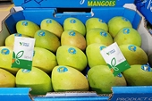 Vietnam set to boost agricultural exports to China