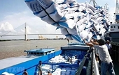 Rice exports to set record turnover of 5 billion USD in 2024