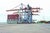 Exports in the second half of the year promised to be vibrant