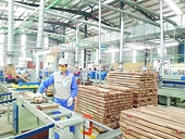How to proactively adapt to trade remedy for higher exports to US