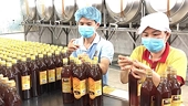 US initiates second anti-dumping duty review into Vietnamese honey