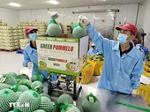 Ample room for Vietnamese fruits in Northeast Asian market