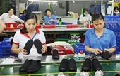 Exports reach new high achievement