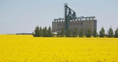 China hits back at Canada EV tariffs with canola probe