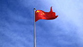 China shifts focus to domestic biodiesel market as EU imposes anti-dumping duties