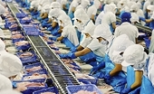 More pangasius exporters free from US anti-dumpting tax