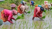 Export bans to subsidies: WTO nations inquire about India's agri policies