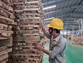 Despite recovery, wood and product exports face new challenges