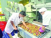 Agricultural, forestry and fishery exports reach US$54 billion: A feasible task