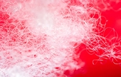 India initiates anti-dumping investigation into Vietnamese calcium carbonate filler masterbatch