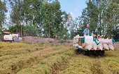 Rice exports expected to exceed 5 billion USD target