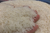 Despite high production, Indonesia spends $625 million on Vietnamese rice