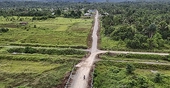 Governments back delay to anti-deforestation law