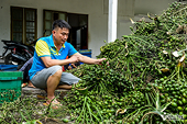 Vietnam’s betel nut imports jump by 324% despite strong exports to China
