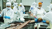 Much room remains for Vietnam to utilise CPTPP
