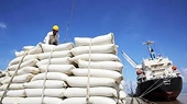 Rice exports: the bright and dark aspects