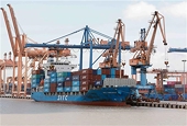How the US election result can impact Việt Nam's exports
