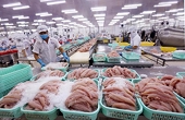 Aquatic exports expected to rise in year-end despite challenges