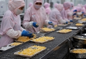 Enterprises urged to tap potential to expand official exports to EU