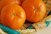Peru gets green light to export mandarins to Vietnam