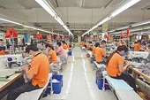 Businesses full of orders, driving stronger export growth